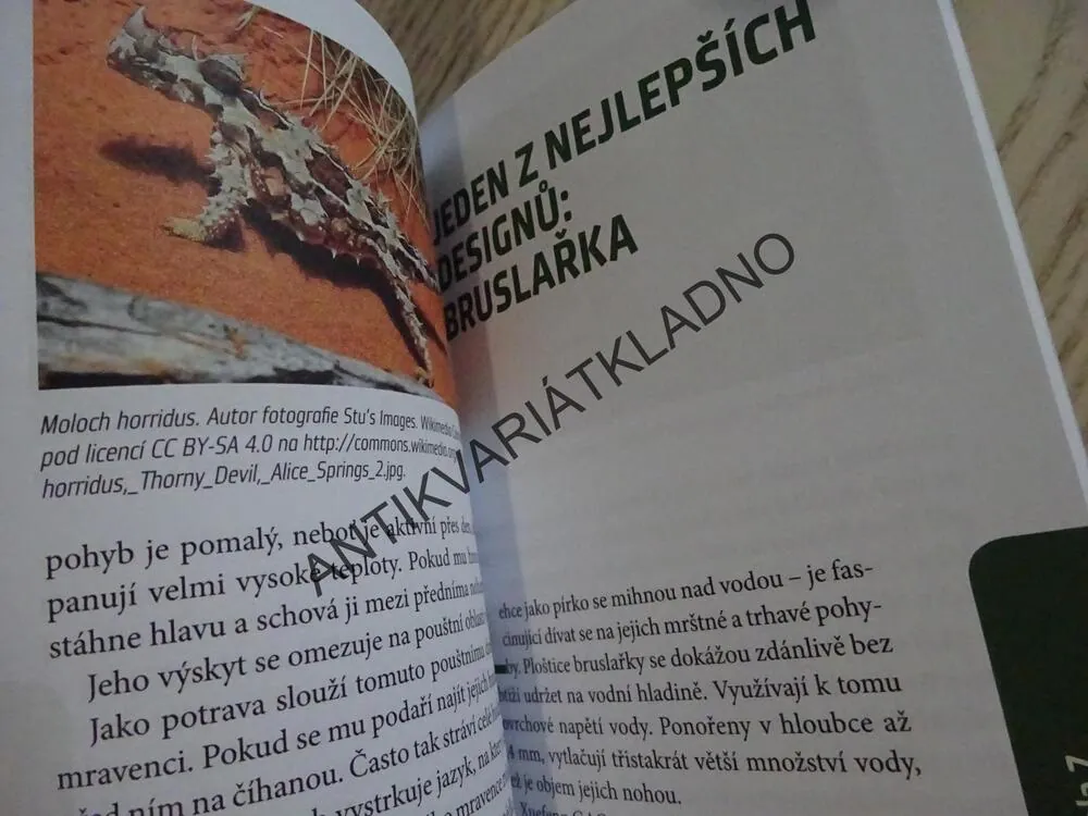 OBDIVUHODNÁ TAJEMSTVÍ ZE SVĚTA PŘÍRODY, ZVÍŘATA, JUNKER, **an