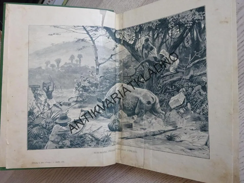 DOMA I V CIZINĚ, JAN DOLENSKÝ, **an
