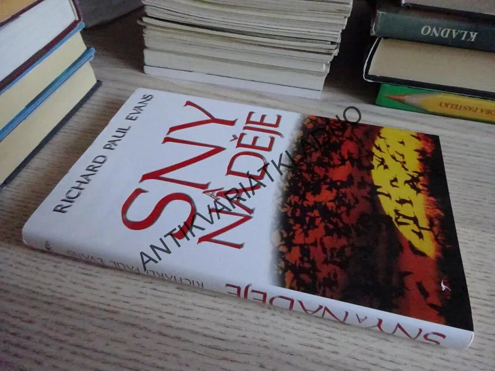 SNY A NADĚJE, RICHARD PAUL EVANS, **an