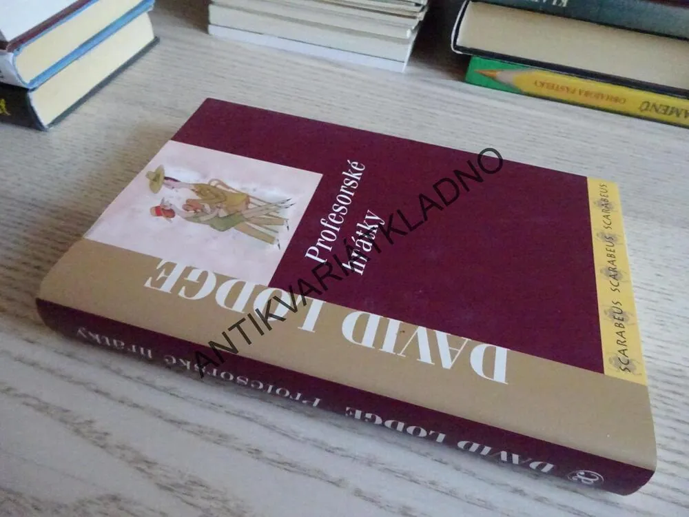 PROFESORSKÉ HRÁTKY, DAVID LODGE, **an