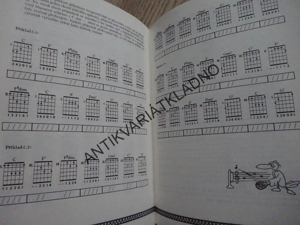 1419 KYTAROVÝCH AKORDŮ, HAVLÍK, VELINSKÝ, AKORDY, KYTARA