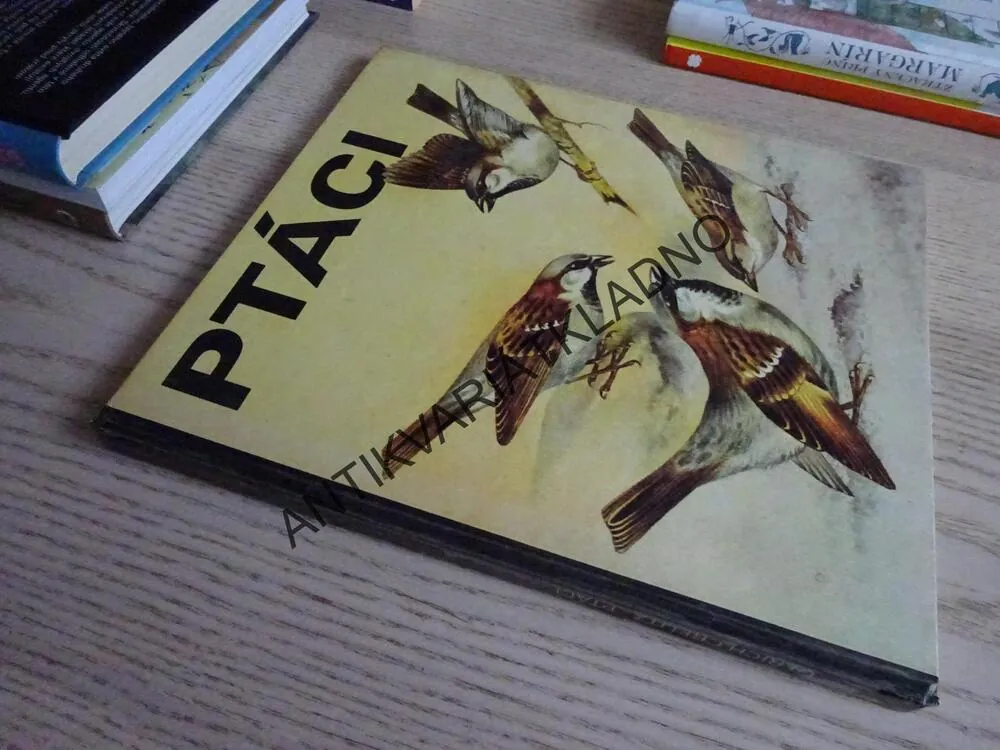 PTÁCI, ULRICH CREUTZ, **an