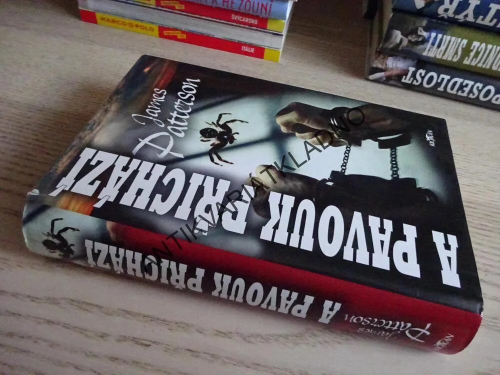 A PAVOUK PŘICHÁZÍ, JAMES PATTERSON, **an