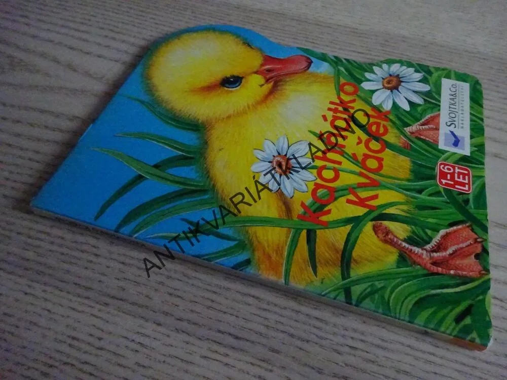 KACHŇÁTKO KVÁČEK, **an