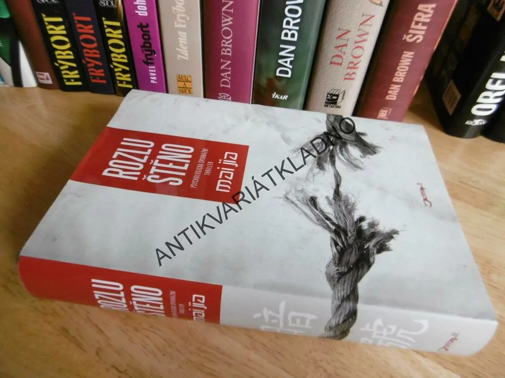 ROZLUŠTĚNO, MAI JIA, PSYCHOLOGICKO-ŠPIONÁŽNÍ THRILLER