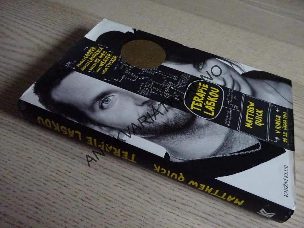 TERAPIE LÁSKOU, MATTHEW QUICK, **an