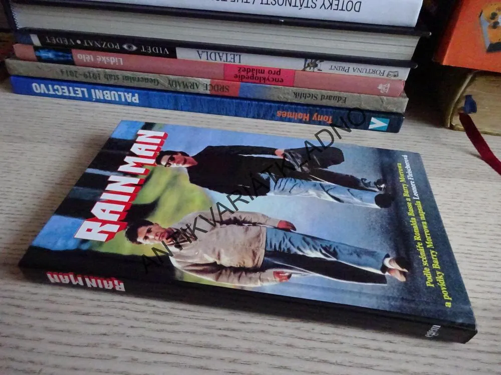 RAIN MAN, **an