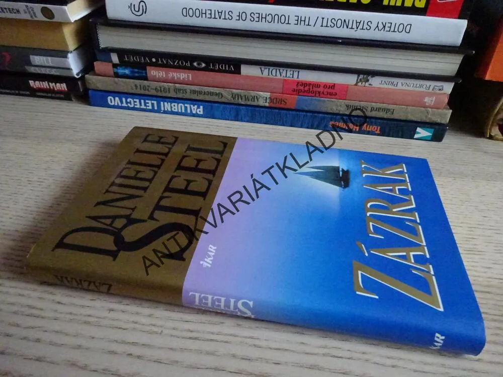 ZÁZRAK, DANIELLE STEELOVÁ, **an