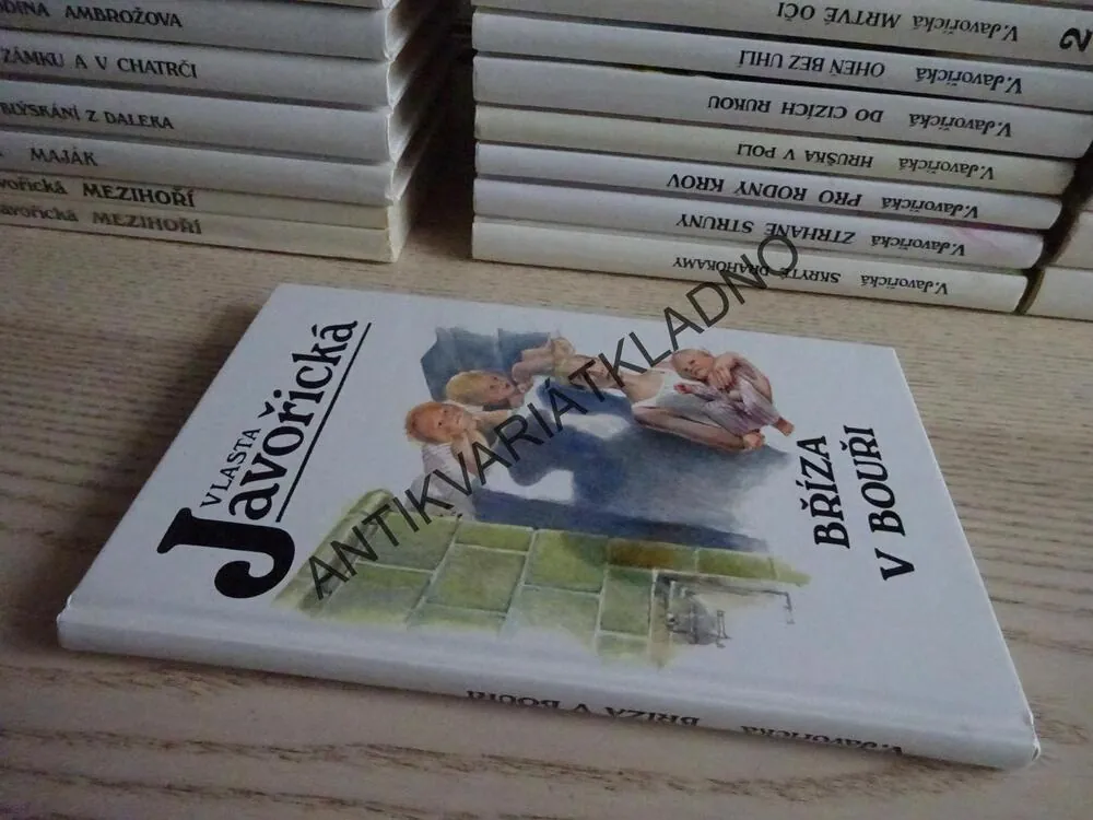 BŘÍZA V BOUŘI, VLASTA JAVOŘICKÁ, **an