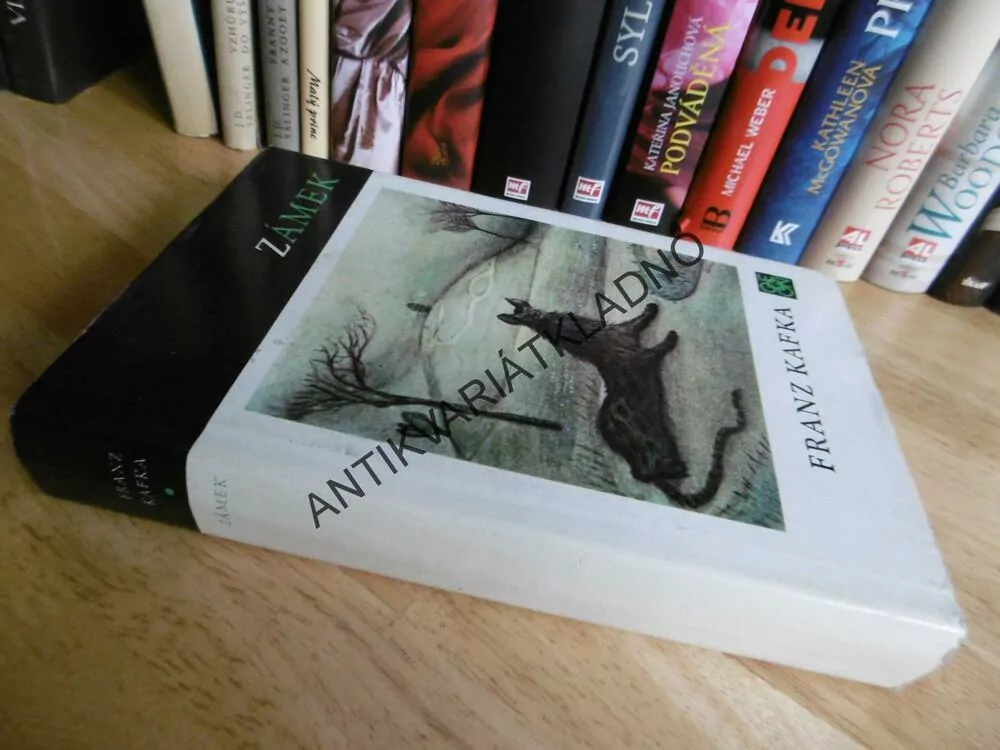 ZÁMEK, FRANZ KAFKA