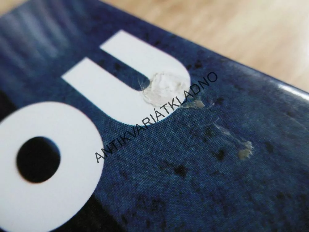 ROK VDOVOU, JOHN IRVING, **an