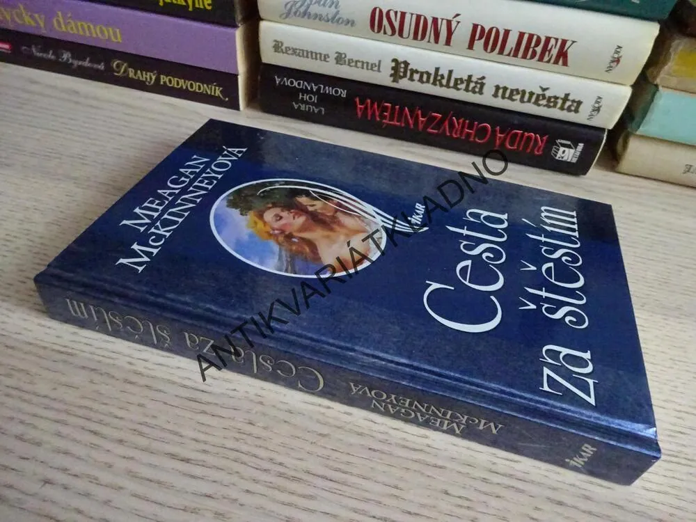 CESTA ZA ŠTĚSTÍ, MEAGAN MCKINNEYOVÁ, **an