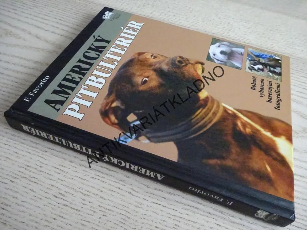 AMERICKÝ PITBULTERIÉR, F. FAVORITO, **an