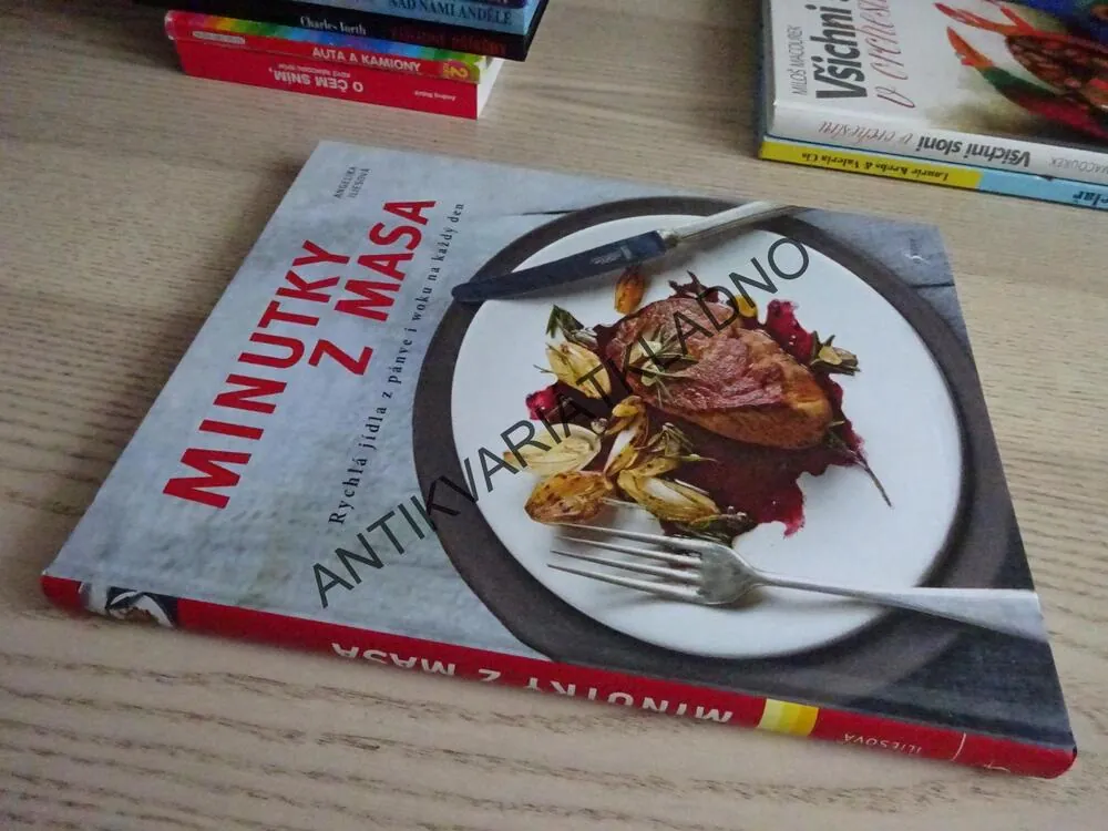 MINUTKY Z MASA, ANGELIKA ILIESOVÁ, **an