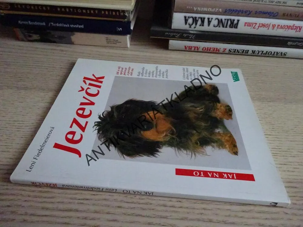 JEZEVČÍK, LENI FIEDELMEIEROVÁ, **an