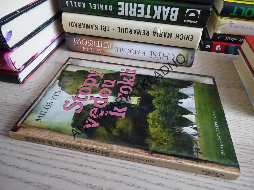 STOPY VEDOU K ROKLI, MILOŠ ŠTRAUB, **an