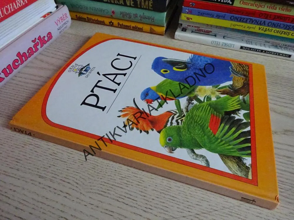 PTÁCI, DAVID BURNIE, **an