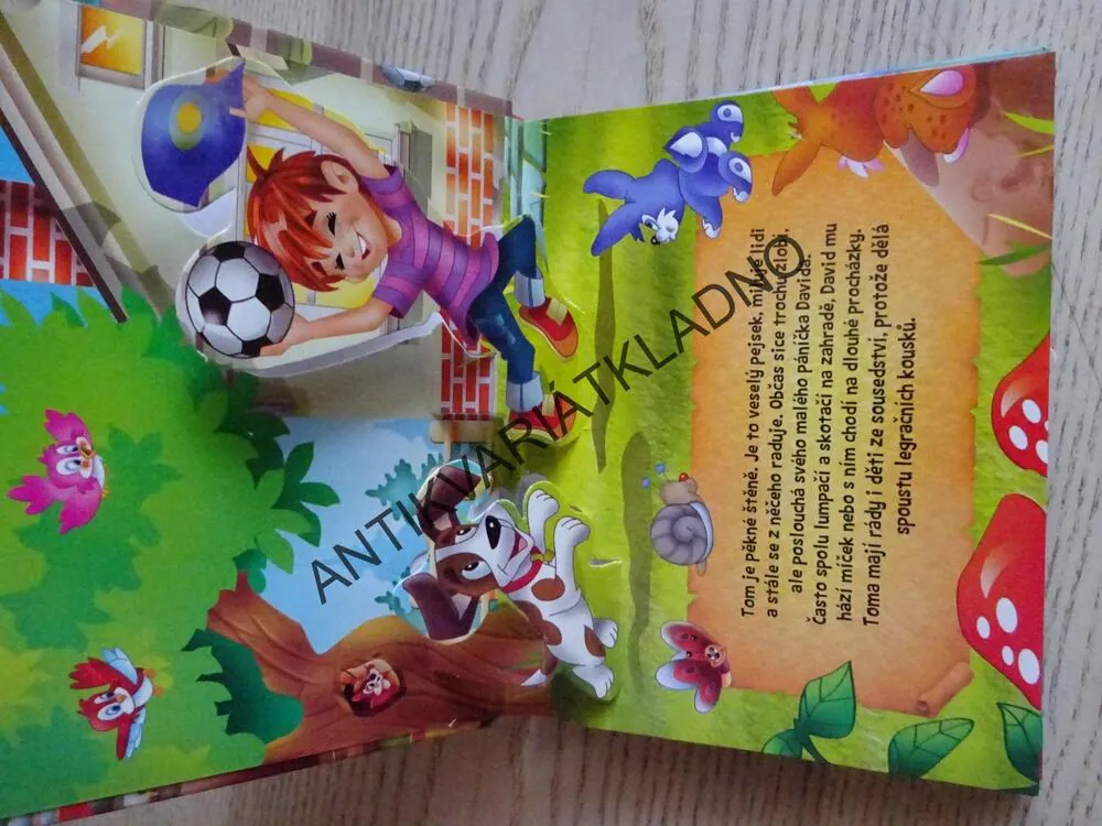 O STATEČNÉM PEJSKOVI, PROSTOROVÁ KNIHA, **an