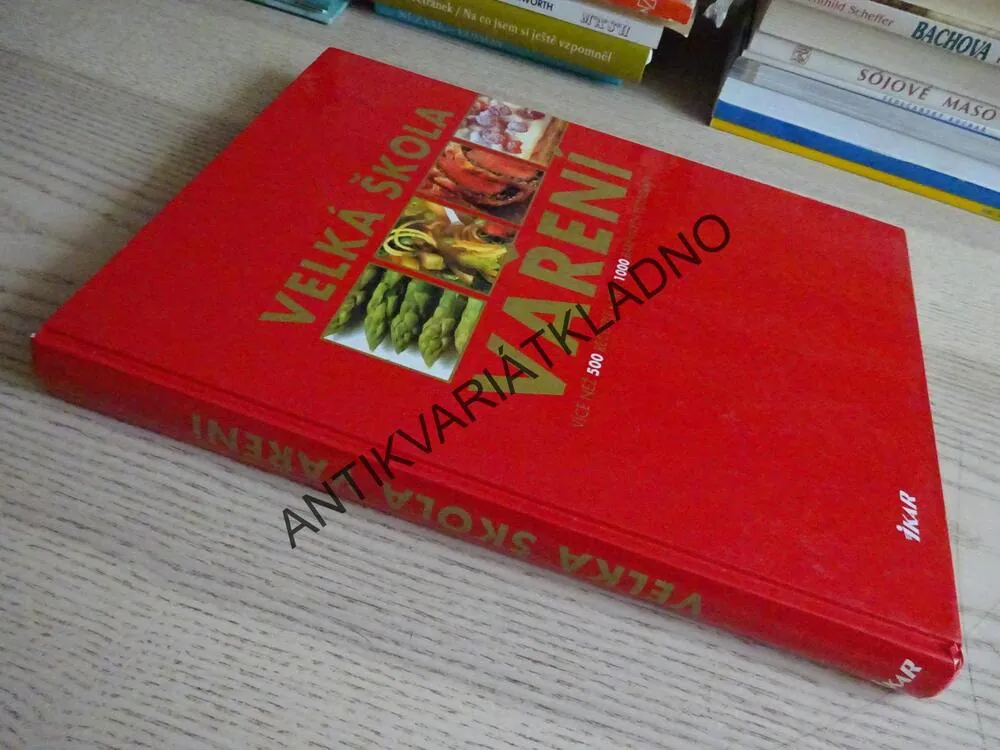 VELKÁ ŠKOLA VAŘENÍ, **an