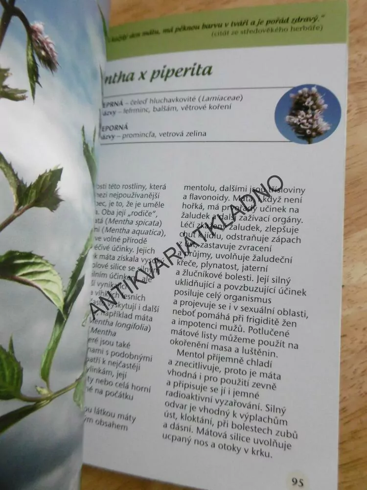 NAŠE NEJLEPŠÍ BYLINKY, BABIČČIN RECEPTÁŘ