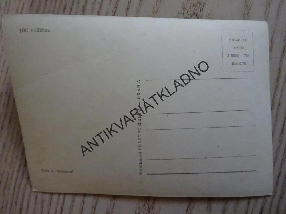 VAŠÍČEK JIŘÍ