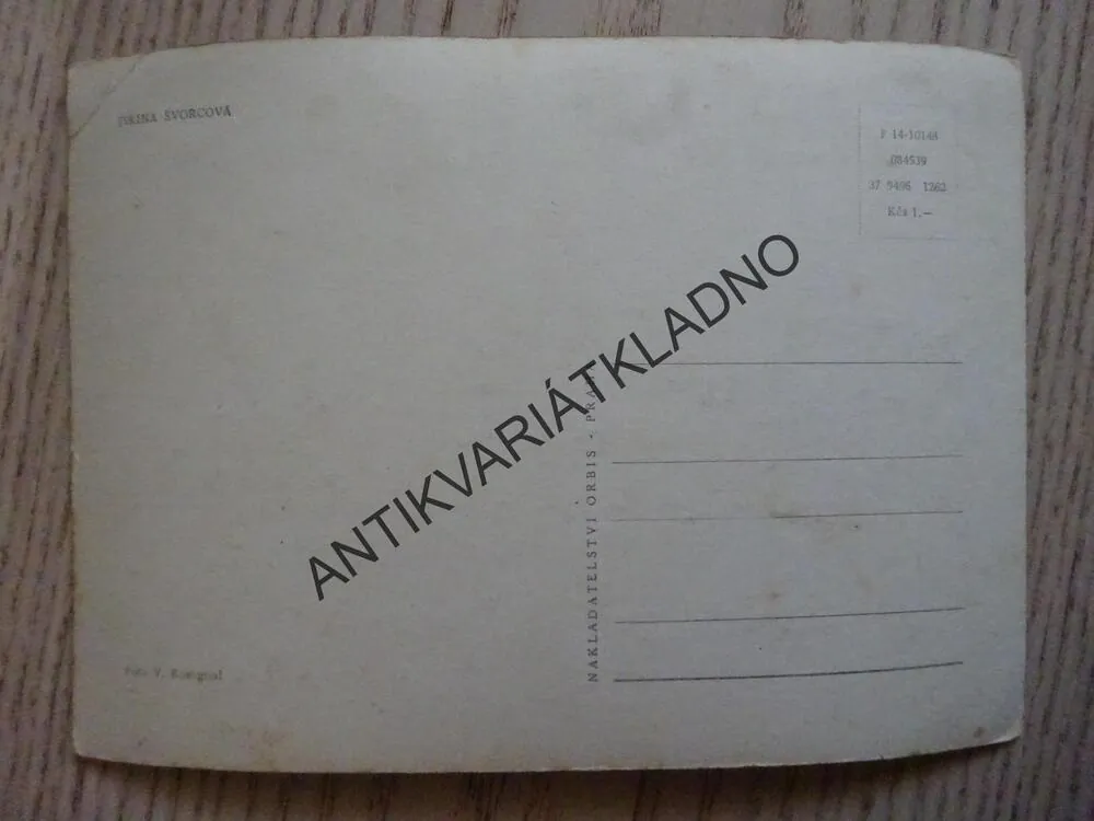 ŠVORCOVÁ JIŘINA