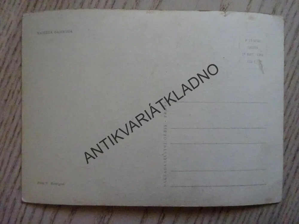 GAJEROVÁ NAĎA