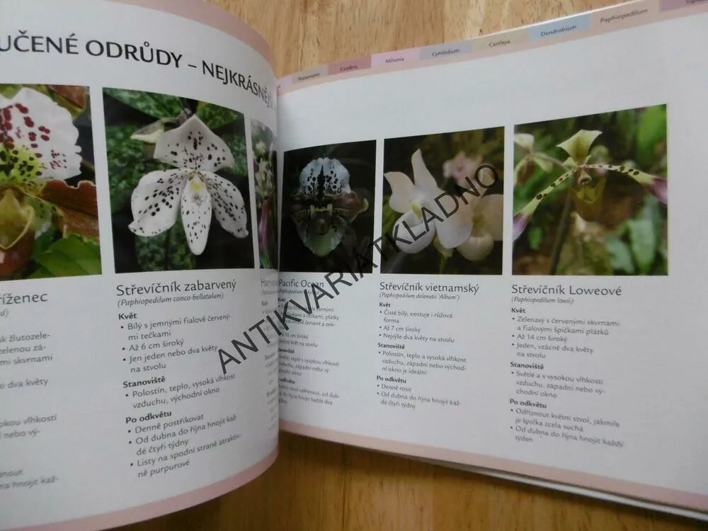 RYCHLÝ RÁDCE ORCHIDEJE, 99 RAD PRO RYCHLÉ ŘEŠENÍ PROBLÉMŮ