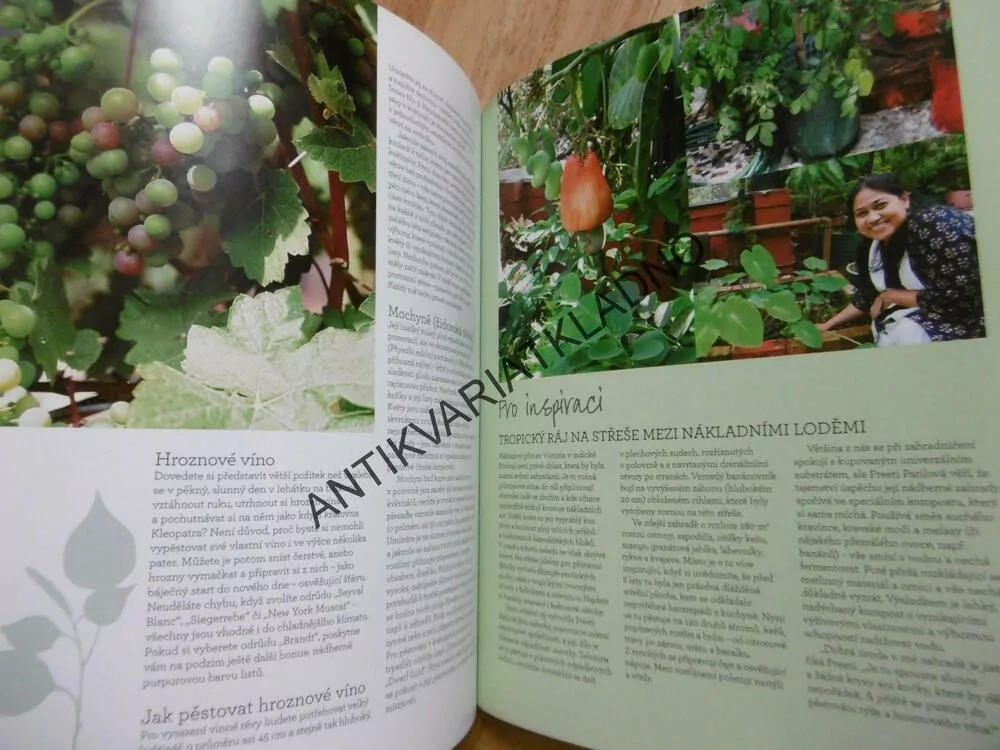 BALKON K NAKOUSNUTÍ, JAK PĚSTOVAT OVOCE A ZELENINU VE MĚSTĚ, **an