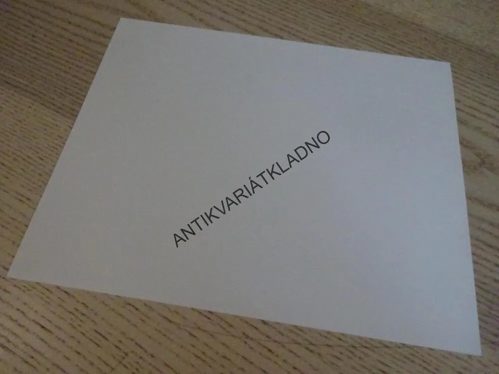 SNÍH PADÁ NA CEDRY, SNOW FALLING ON CEDARS, FOTOSKA FILM