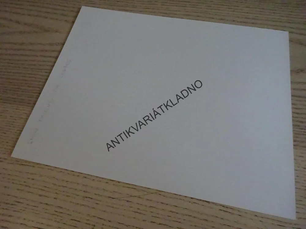 SNÍH PADÁ NA CEDRY, SNOW FALLING ON CEDARS, FOTOSKA FILM