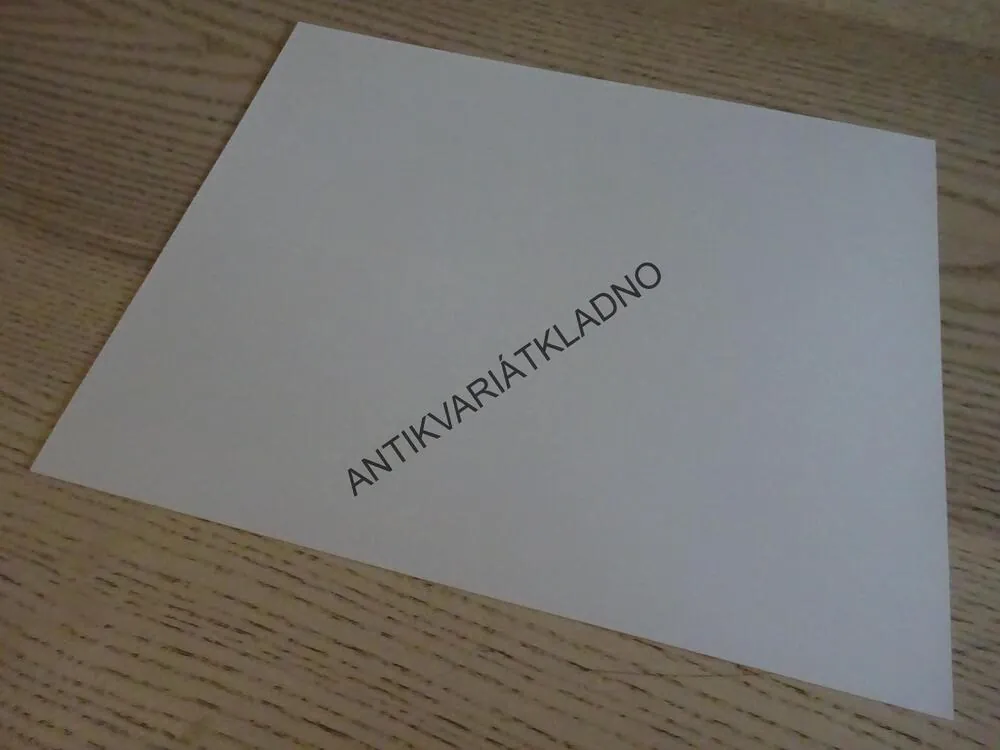 SNÍH PADÁ NA CEDRY, SNOW FALLING ON CEDARS, FOTOSKA FILM