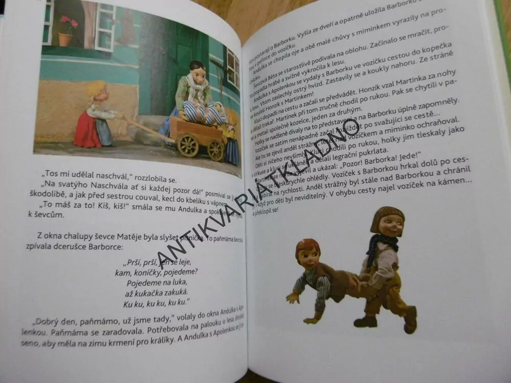 CHALOUPKA NA VRŠKU, ŠÁRKA VÁCHOVÁ, **an