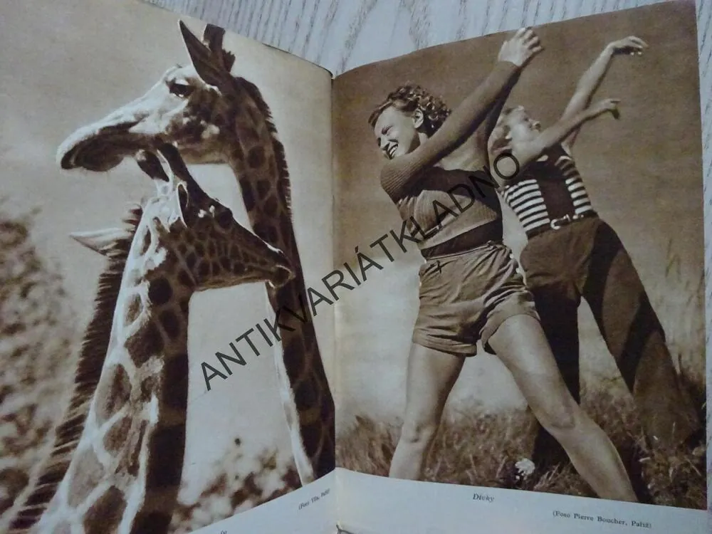 ZDROJ 7/39, SVĚTOVÝ ZDROJ ZÁBAVY A POUČENÍ, ČASOPIS