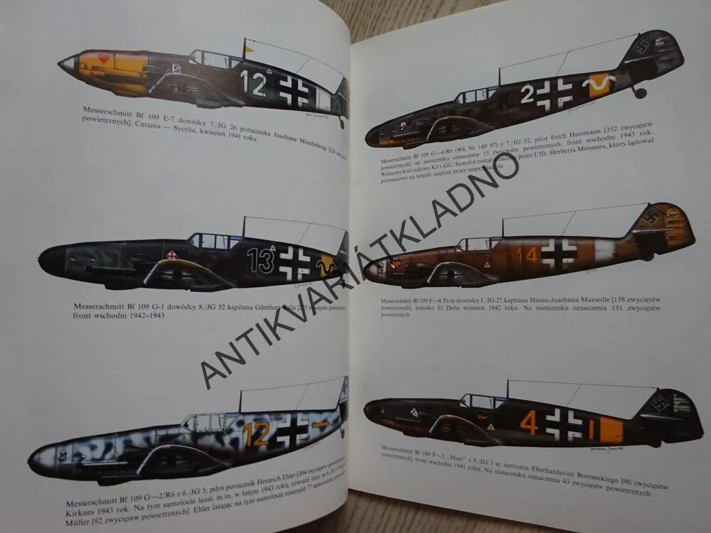 ASY LUFTWAFFE, POLSKY