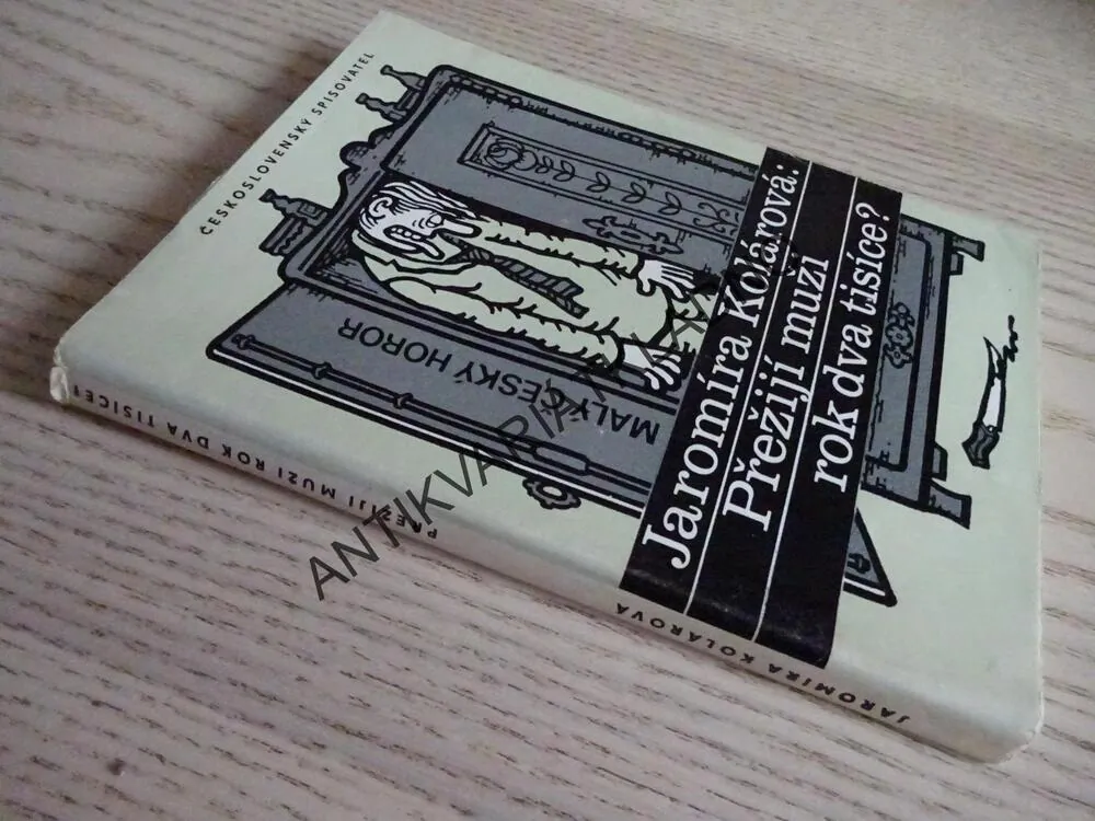 PŘEŽIJÍ MUŽI ROK DVA TISÍCE?, JAROMÍRA KOLÁROVÁ, **an