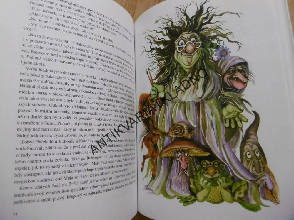 KOUPÁNÍ ZAKÁZÁNO ANEB HASTRMANI NEJSOU TATRMANI, RŮŽIČKOVÁ, KOCOUROVÁ, **an
