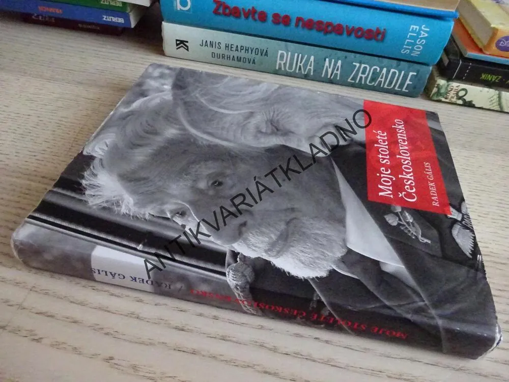 MOJE STOLETÉ ČESKOSLOVENSKO, RADEK GÁLIS, **an
