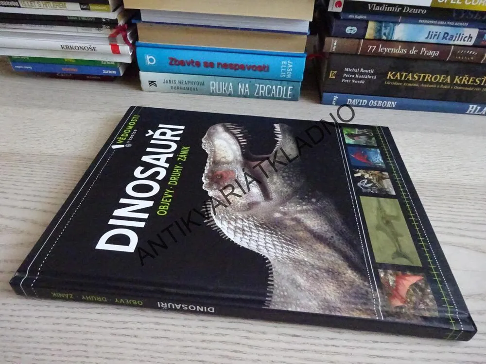 DINOSAUŘI, VĚDOMOSTI V KOSTCE, **an