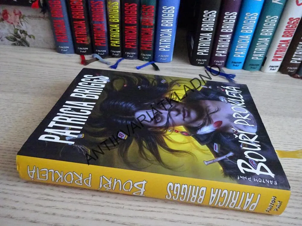 BOUŘÍ PROKLETÁ, PATRICIA BRIGGS, **an