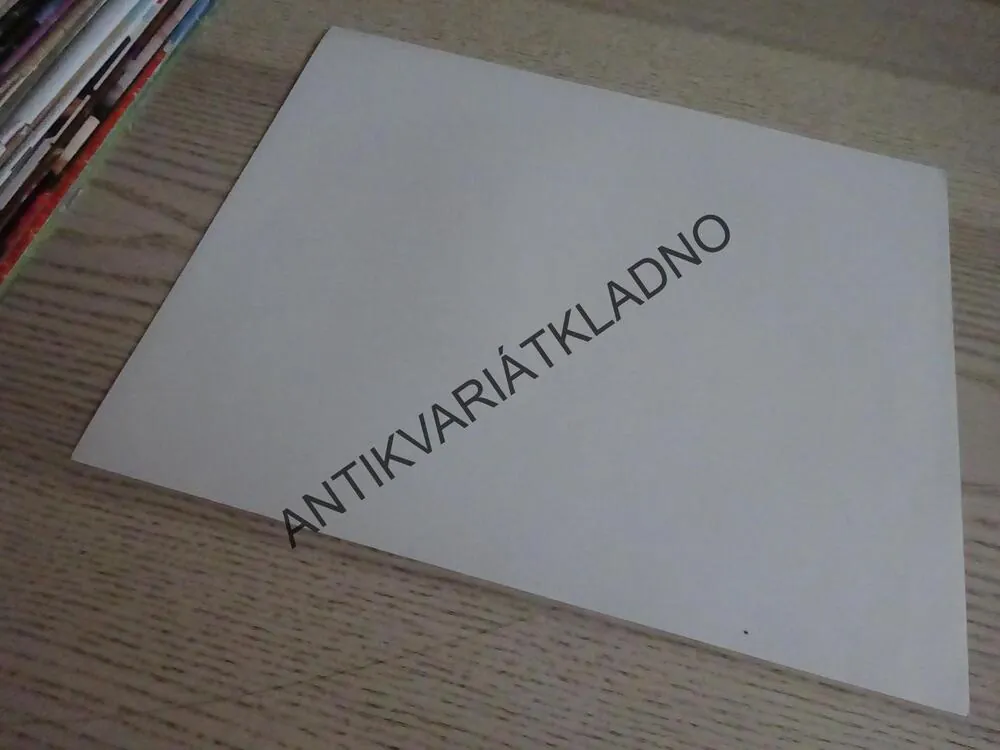 MUŽ ZVANÝ KŮŇ, FOTOSKA FILM