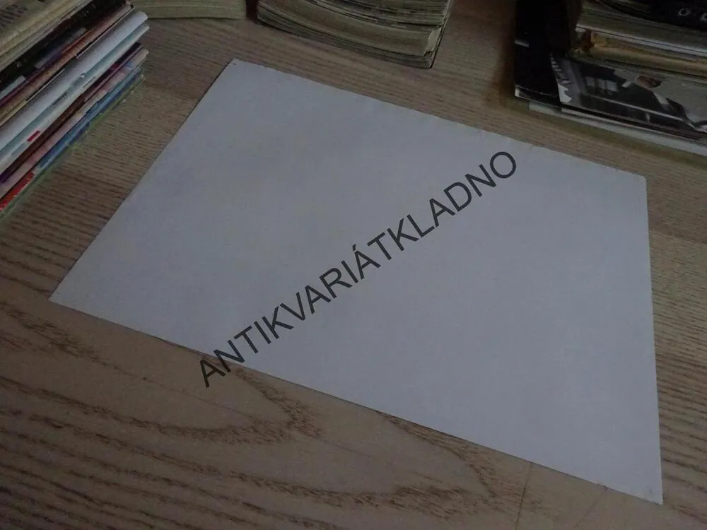 NEBEZPEČNÁ RYCHLOST 2: ZÁSAH, FOTOSKA FILM