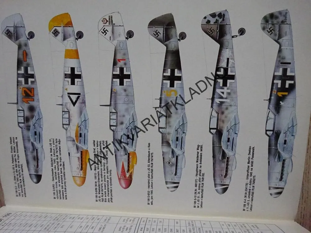 MESSERSCHMITT BF 109, LETECTVÍ