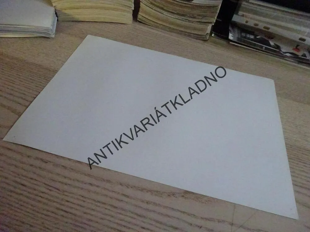 STAV OBLEŽENÍ, FOTOSKA FILM