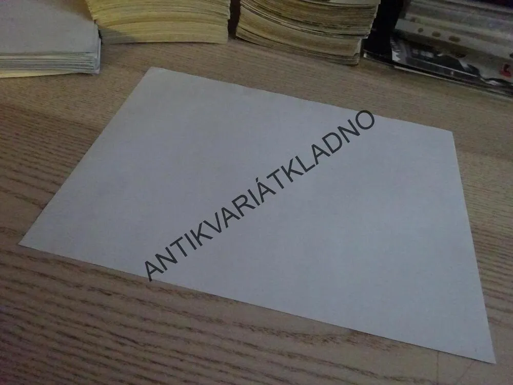 STEPFORDSKÉ PANIČKY, FOTOSKA FILM