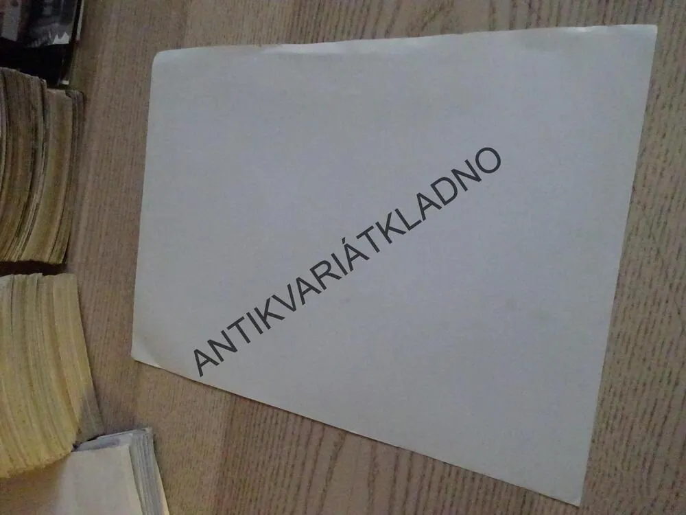 SESTRA V AKCI 2: ZNOVU V ČERNÉM HÁBITU, FOTOSKA FILM