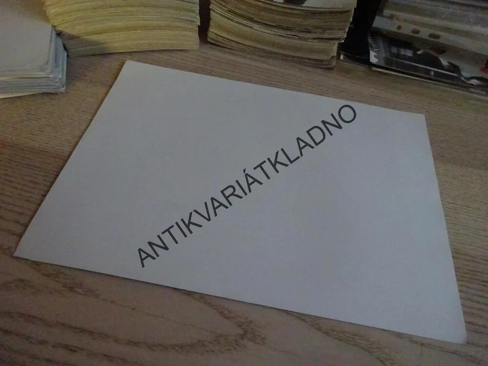 NĚKDO SE DÍVÁ, SHARON STONE, BALDWIN, BERENGER,BALDWIN, FOTOSKA FILM USA