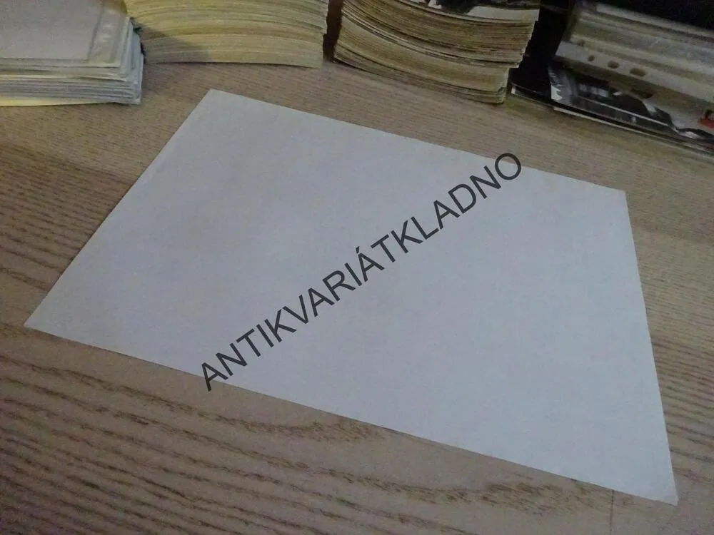 SYN RŮŽOVÉHO PANTERA, FOTOSKA FILM