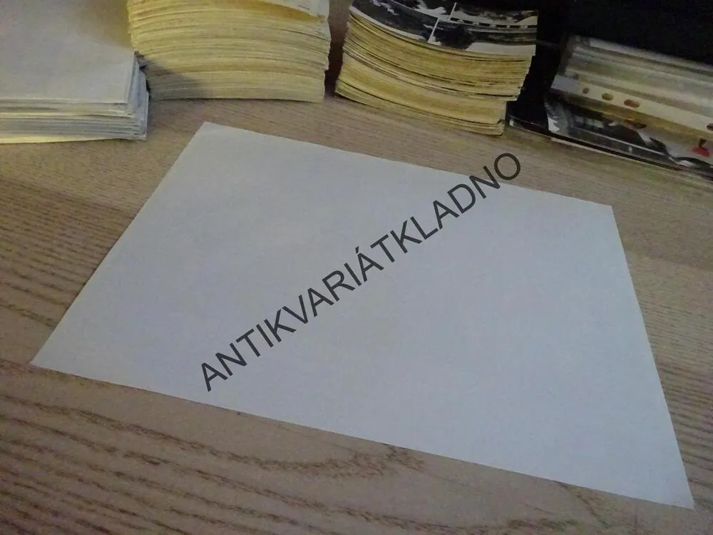 SYN RŮŽOVÉHO PANTERA, FOTOSKA FILM