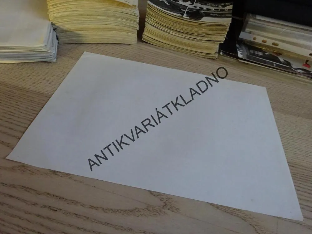 SYN RŮŽOVÉHO PANTERA, FOTOSKA FILM